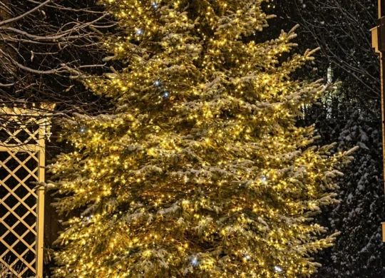 photo 2026 09 02 09 47 30